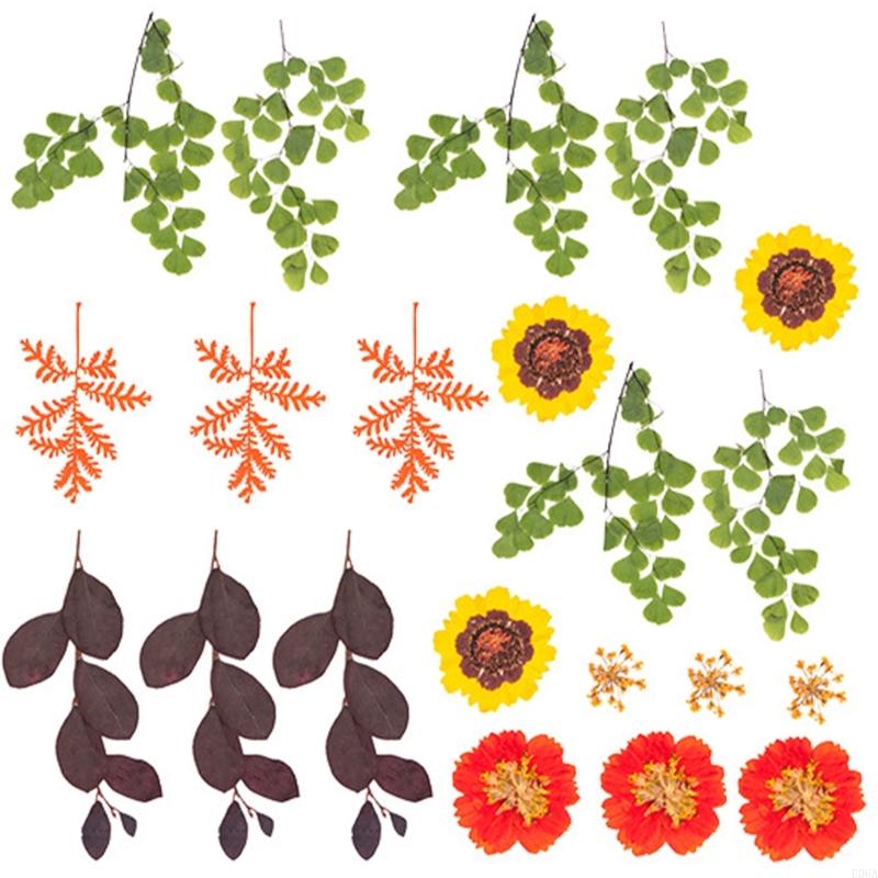 Gedroogde geperste bloem voor  - Resin Craft Ideas recensie en prijs